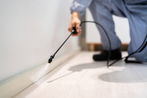 Bed Bug Pre-Treatment Preparation Assessment in Hazlehurst